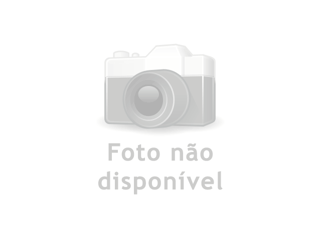 O mercado de trabalho e a profissionalização do sociólogo O mercado de trabalho e a profissionalização do sociólogo